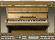 Native Instruments Akoustik Piano